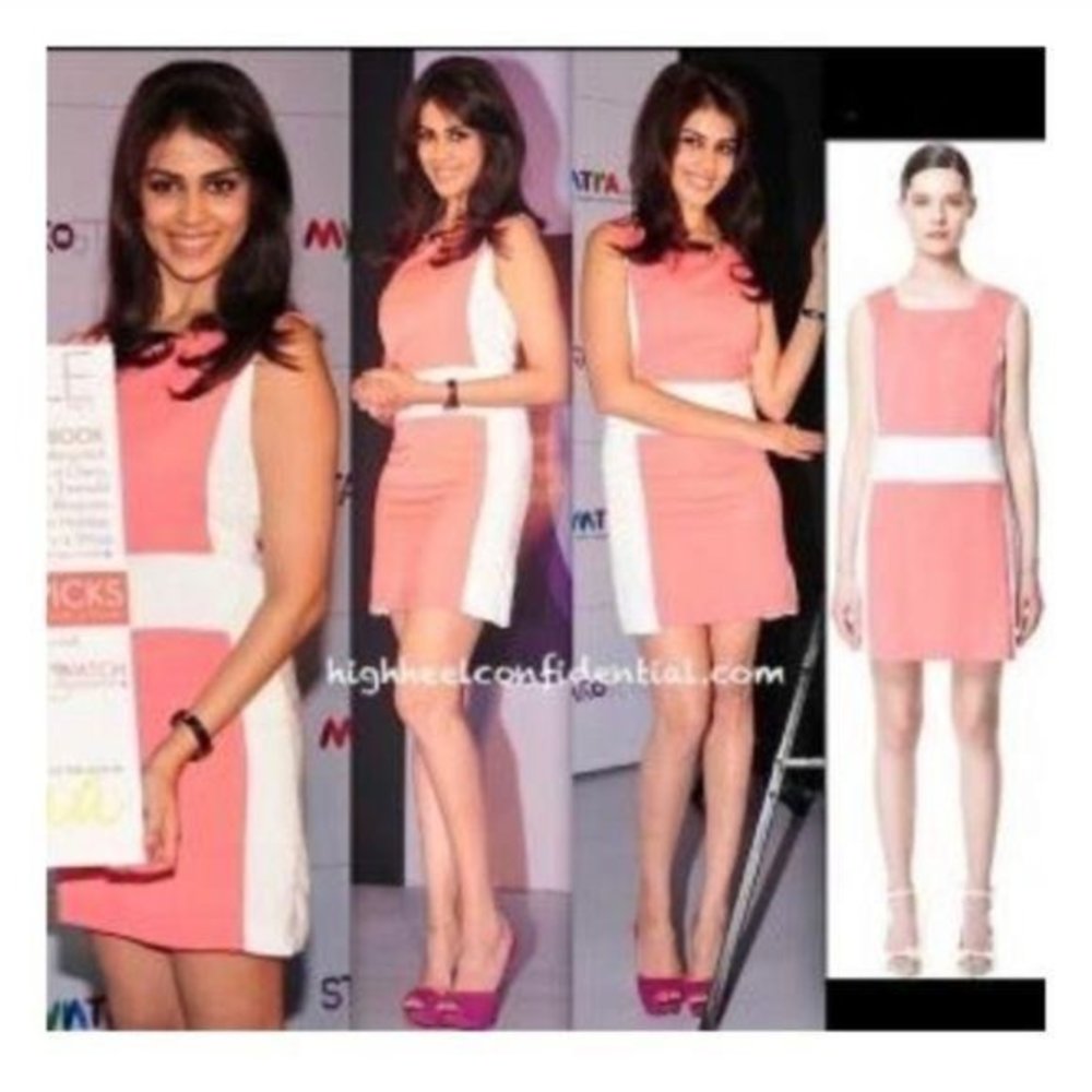 Zara Basic Color Block Sleeveless Dress